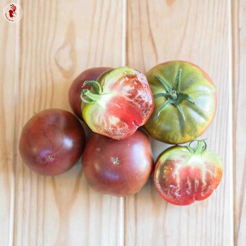 Tomates - Cherokee Purple