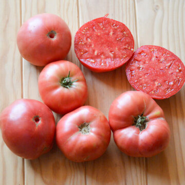 Tomates - Ponderosa Pink