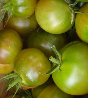 Tomates-Cerises - Aunt Ruby’s German Cherry