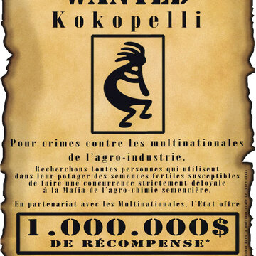 Posters - Wanted, Kokopelli