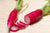Radis - Rose de Pâques