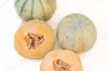 Melons - Delicious 51