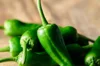 Piments/Poivrons - Padrón
