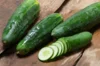 Concombre - Long Vert d’Alan