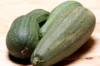 Courgettes - Ortolana Di Faenza