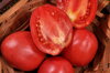 Tomates - Grushovka
