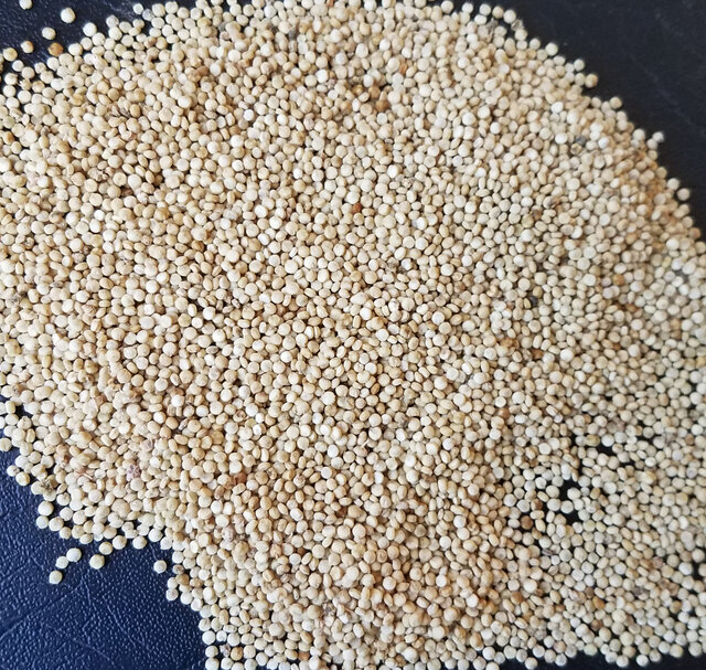Quinoas - Peppermint
