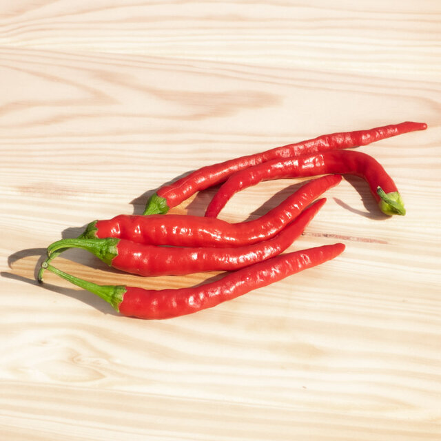 Piment Très Fort Cayenne Association Kokopelli