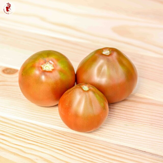Tomates - Bédouin