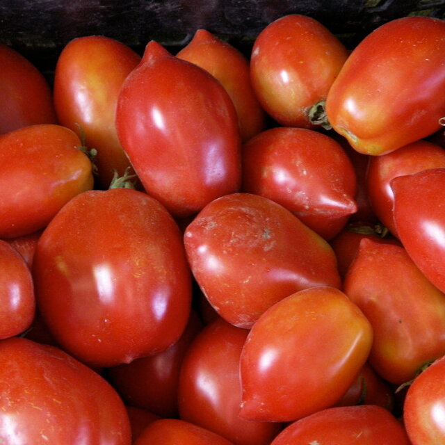 Tomates - Ropreco Paste