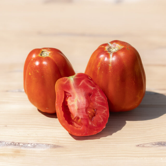 Tomates - Costoluto Fiorentino