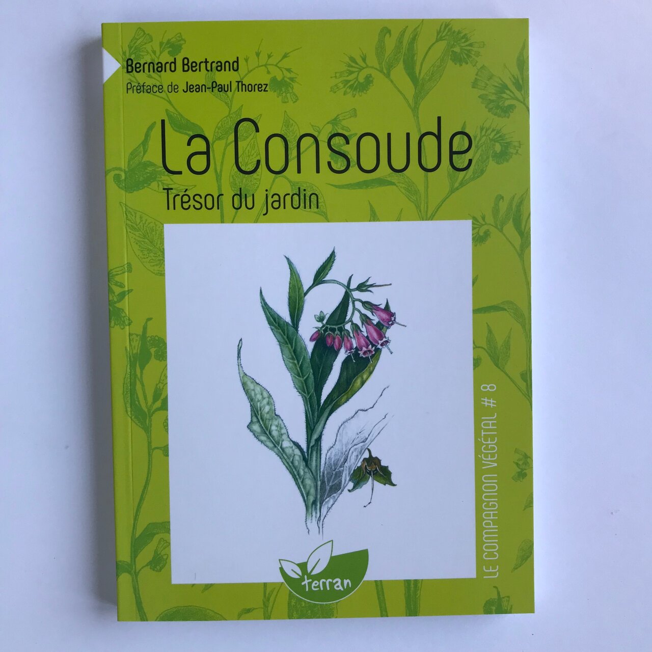 Compagnon Végétal - Vol. 8 - La Consoude, trésor du Jardin