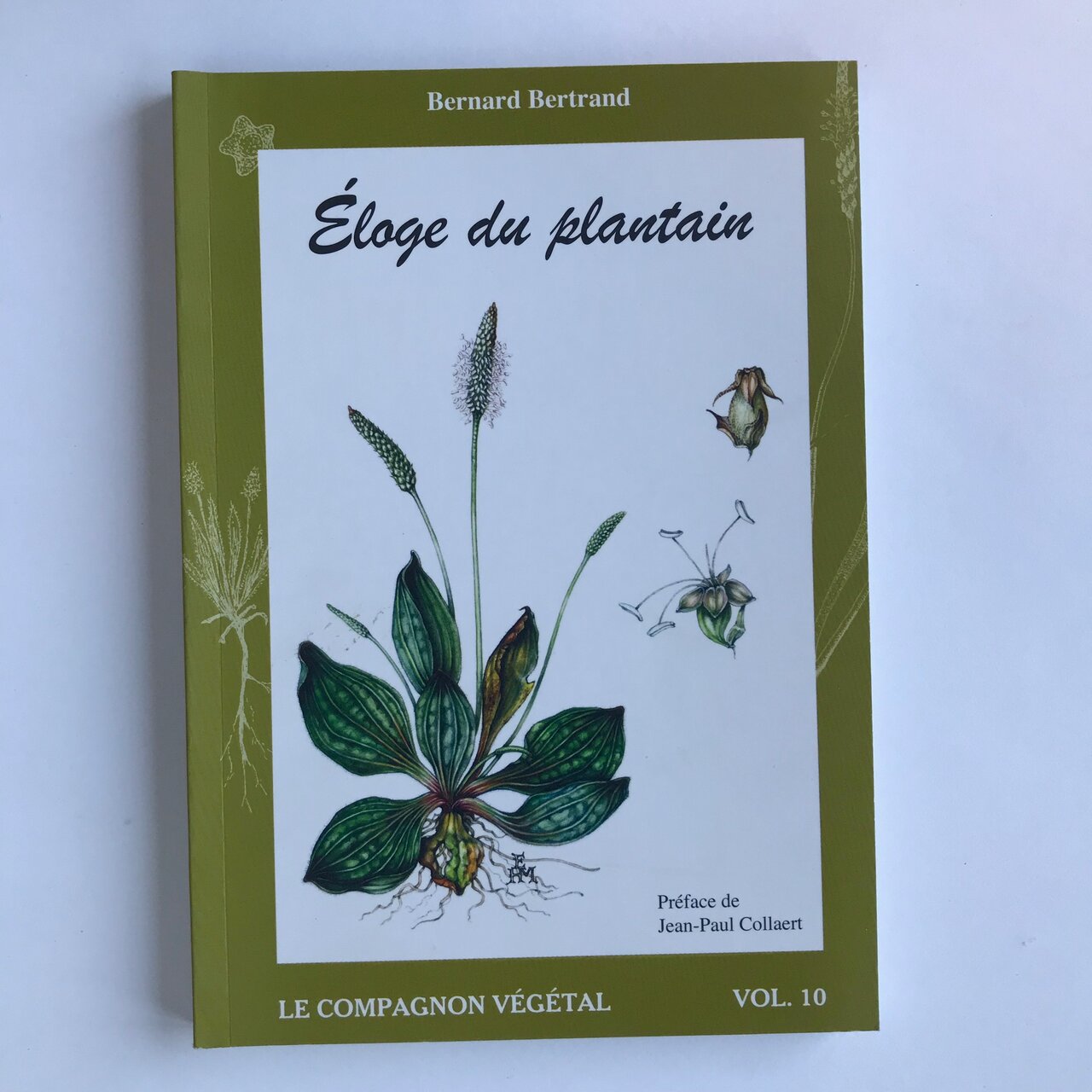 Compagnon Végétal - Vol. 10 - Éloge du Plantain