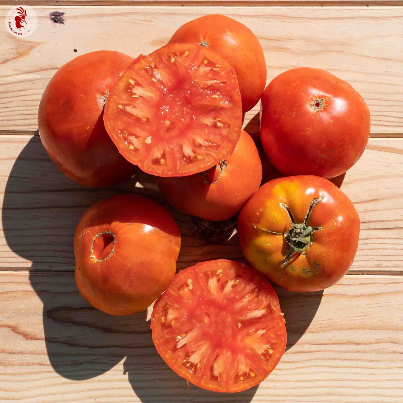Tomates - Ponderosa Red