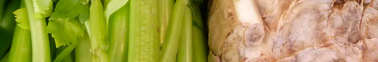 Celery root