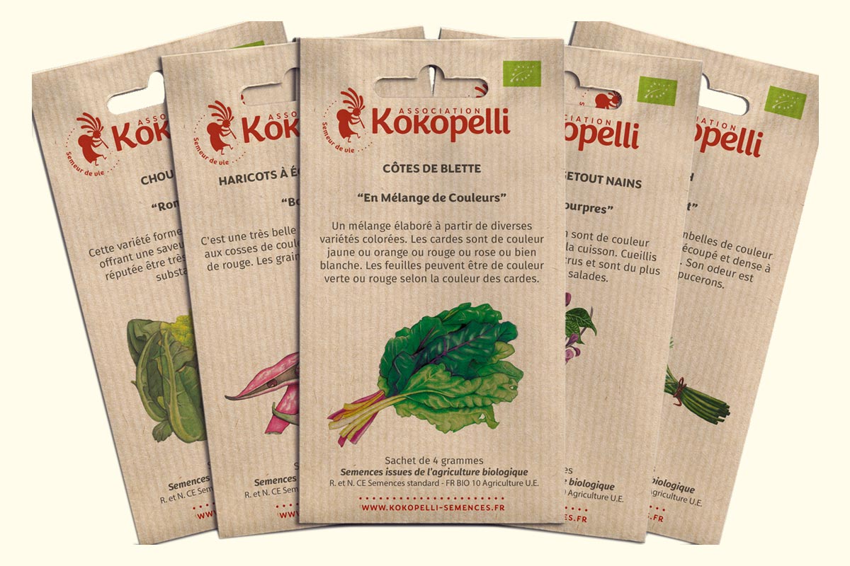 La nouvelle identité visuelle de Kokopelli Association Kokopelli